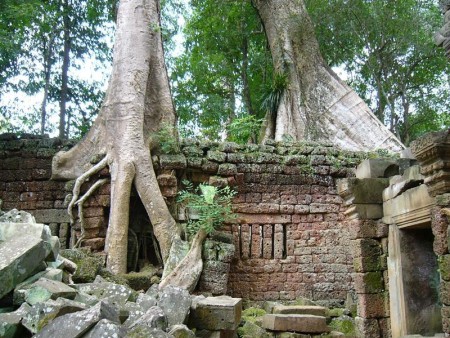カンボジア  アンコール遺跡のタプロームで映画の世界へ 【カンボジア】