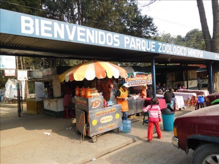 グアテマラ  ケツァルテナンゴ（シェラ）で無料の動物園 【グアテマラ旅行】
