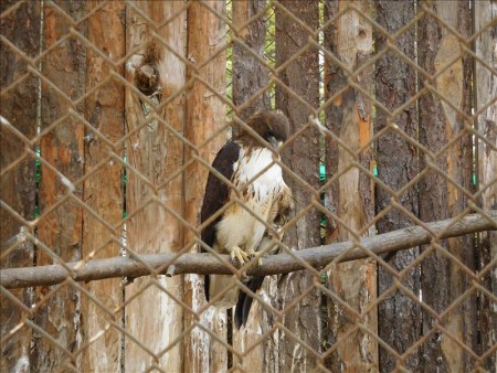グアテマラ  ケツァルテナンゴ（シェラ）で無料の動物園 【グアテマラ旅行】