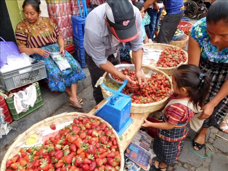 グアテマラ  サンペドロラグーナの市場（メルカド）周辺を散策 【グアテマラ旅行】