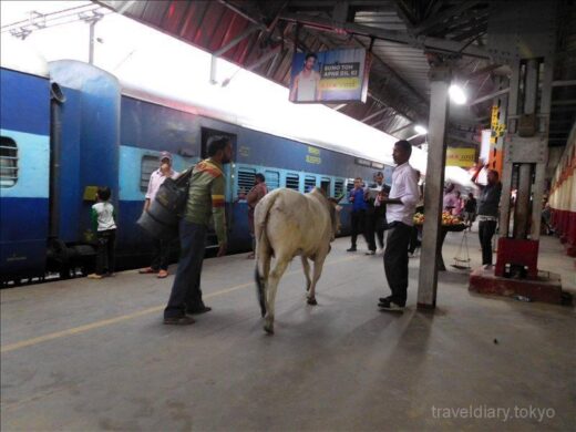インド  バラナシ ⇒ コルカタ インド鉄道 2等寝台車で快適な移動