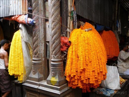 インド  汚い場所で美しい花を売るフラワーマーケット【コルカタ】