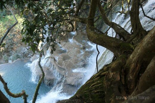 ラオス  これは凄い！クアンシーの滝でマイナスイオン浴びまくり【ラオス】