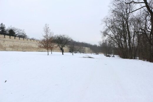 チェコ  冬のペトシーンの丘は一面の銀世界_ケーブルカーに乗って行って来た